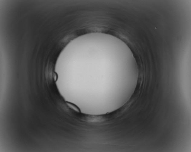 X0000083060334200703022139