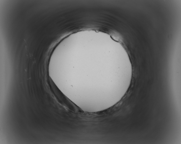 X0000083060337200703022139