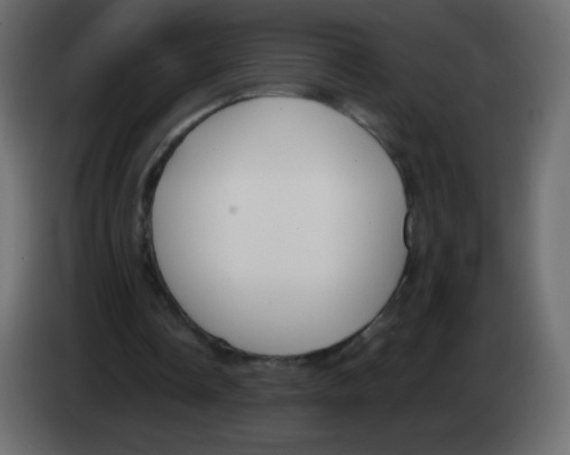 X0000083060338200703022139