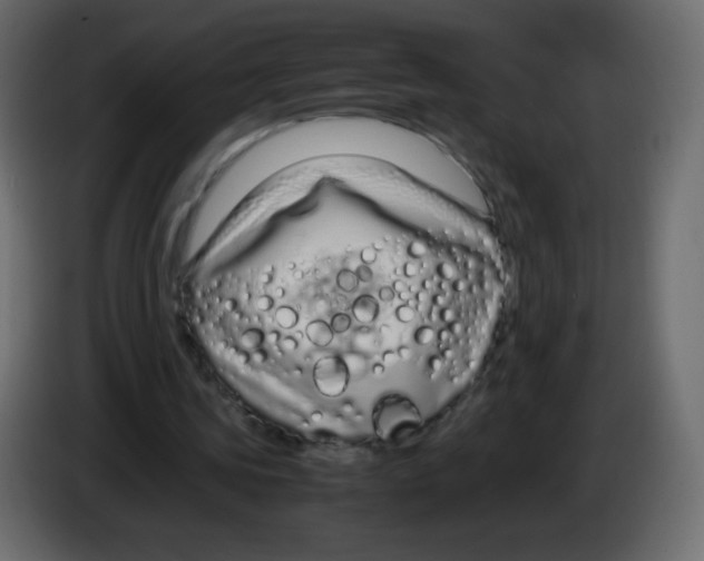 X0000083060339200703022139