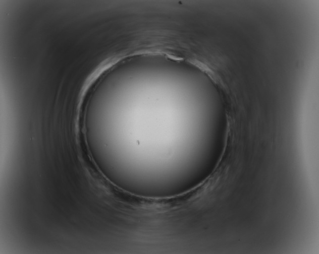 X0000083060340200703022139