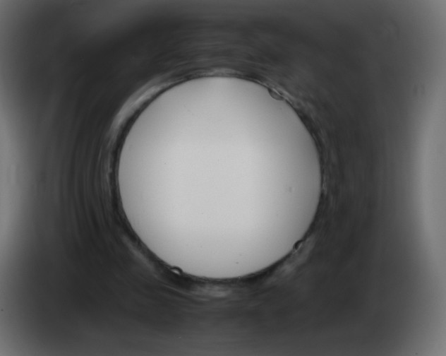 X0000083060341200703022139