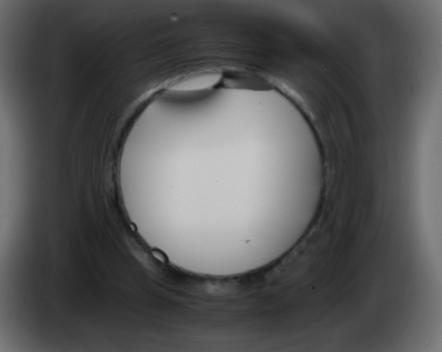 X0000083060345200703022139