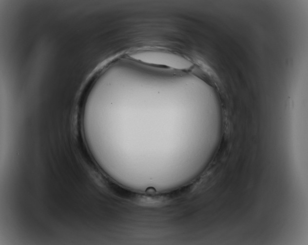 X0000083060346200703022139