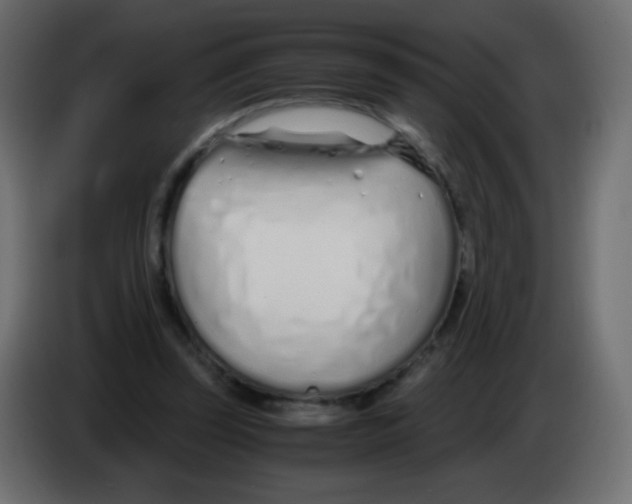 X0000083060347200703022139