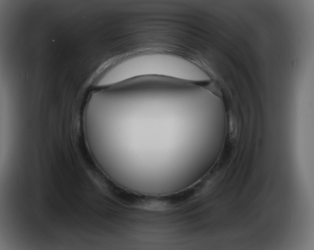 X0000083060348200703022139