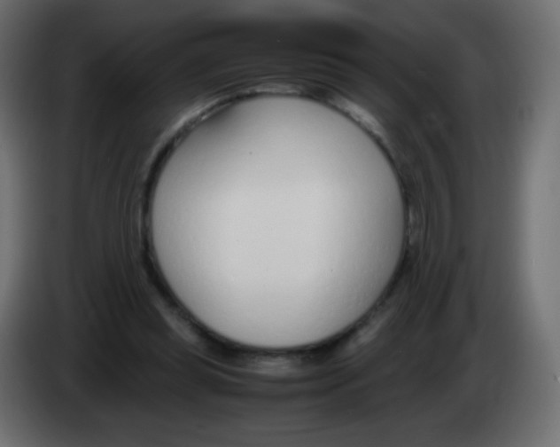 X0000083060349200703022139