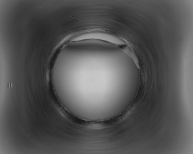 X0000083060350200703022139