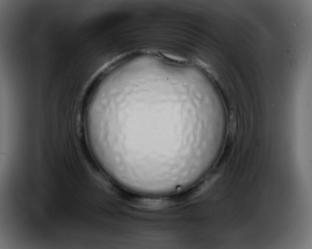 X0000083060351200703022139