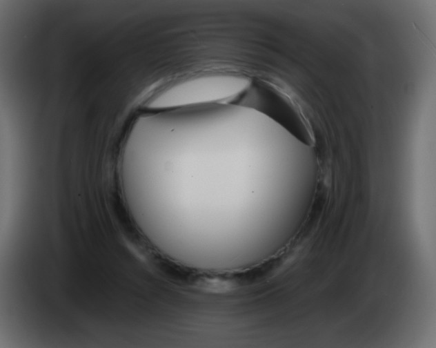 X0000083060352200703022139