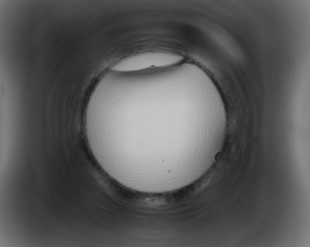 X0000083060353200703022139