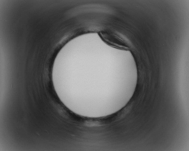 X0000083060354200703022139