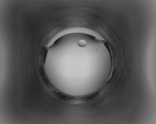 X0000083060356200703022139