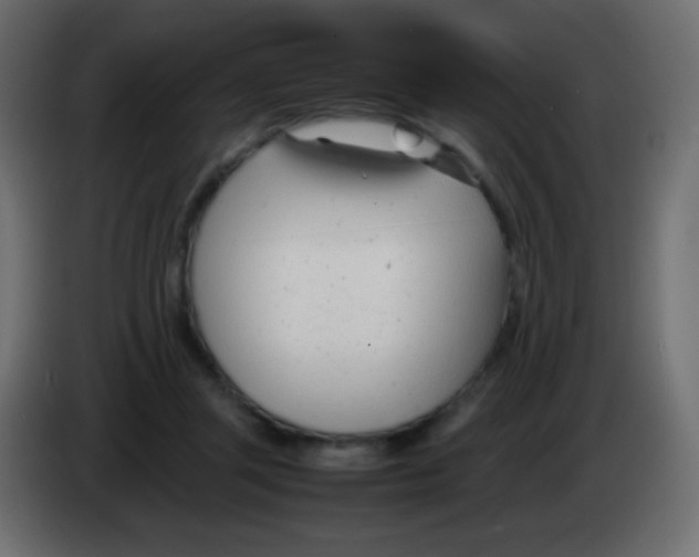 X0000083060357200703022139