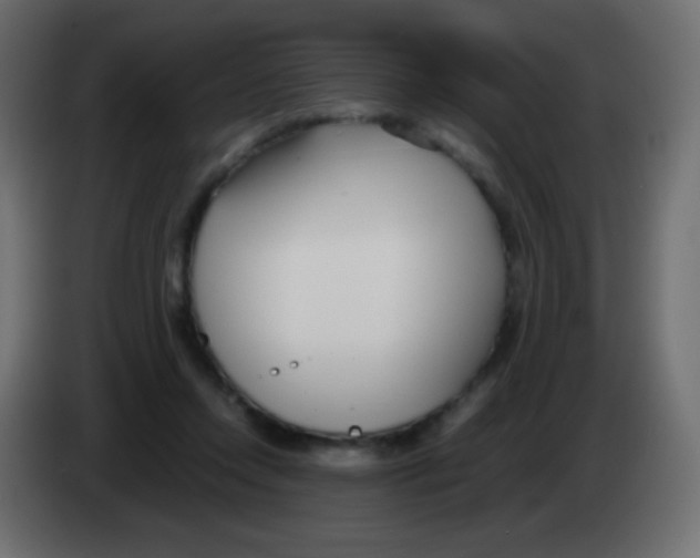 X0000083060358200703022139