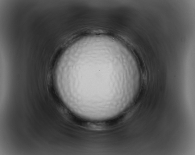 X0000083060359200703022139