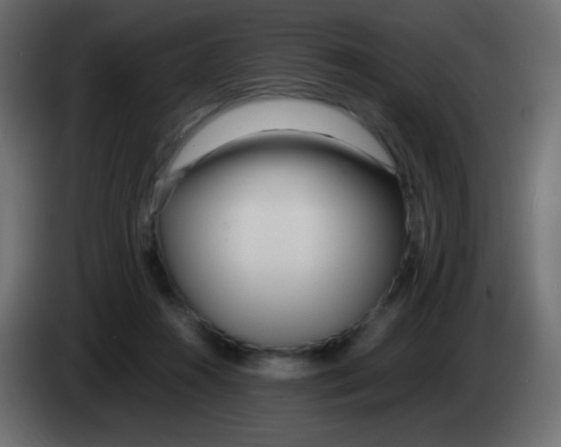 X0000083060360200703022139