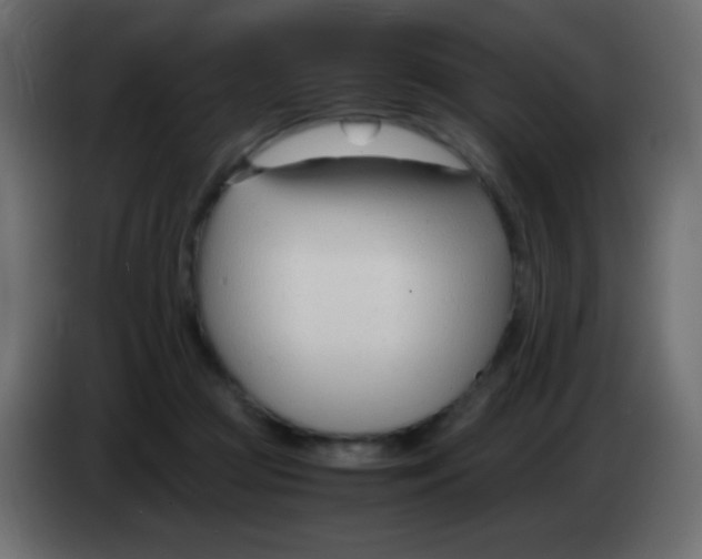 X0000083060361200703022139