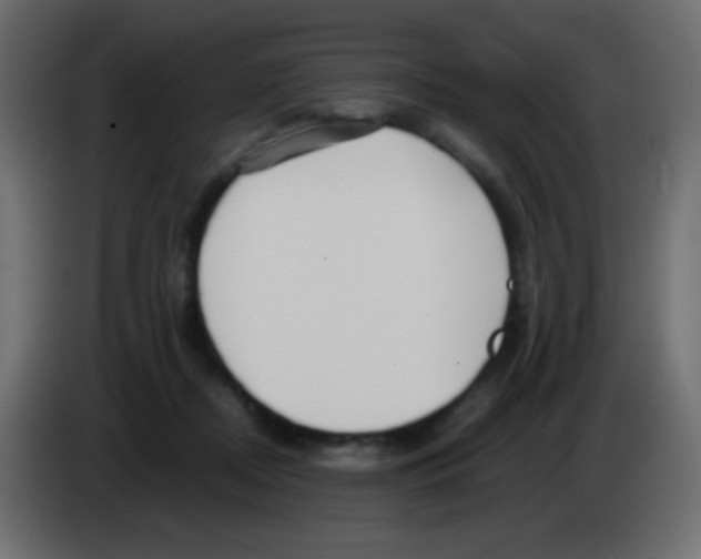 X0000083060362200703022139