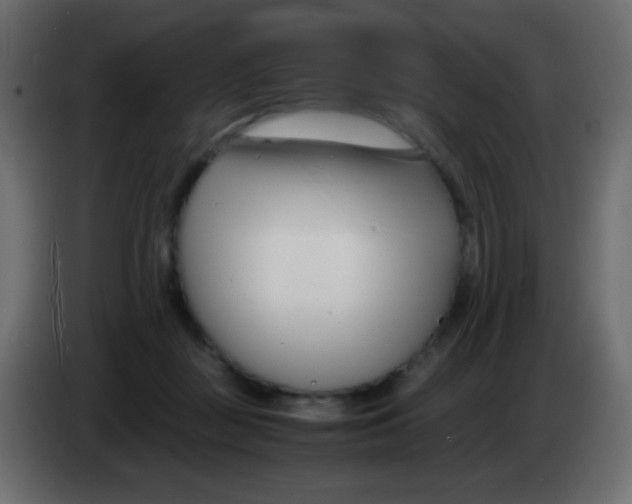 X0000083060363200703022139