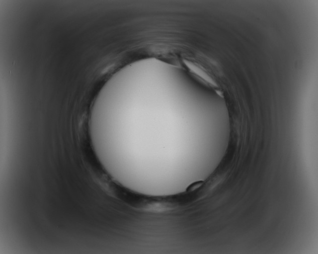 X0000083060364200703022139