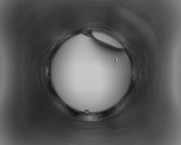 X0000083060365200703022139