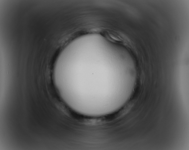 X0000083060366200703022139