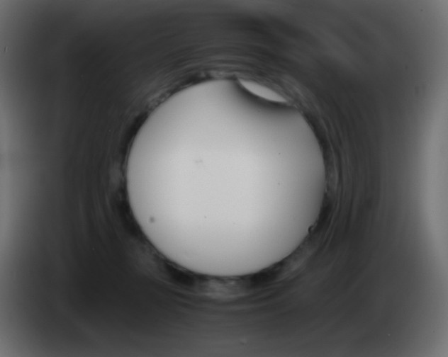 X0000083060367200703022139