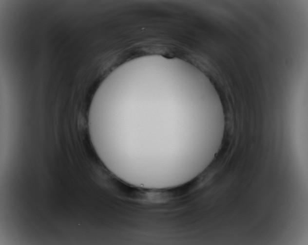 X0000083060371200703022139