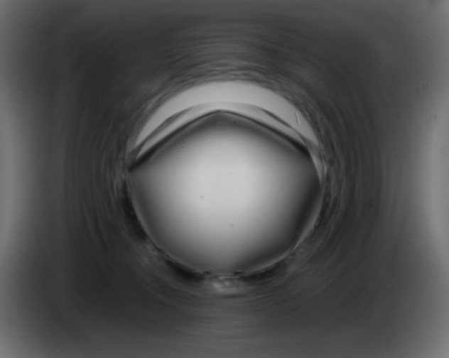 X0000083060372200703022139