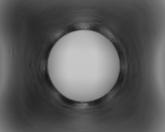 X0000083060374200703022139