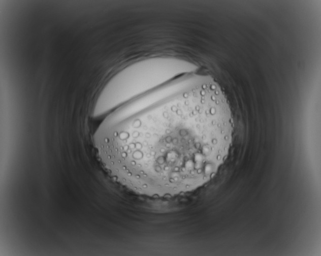 X0000083060375200703022139