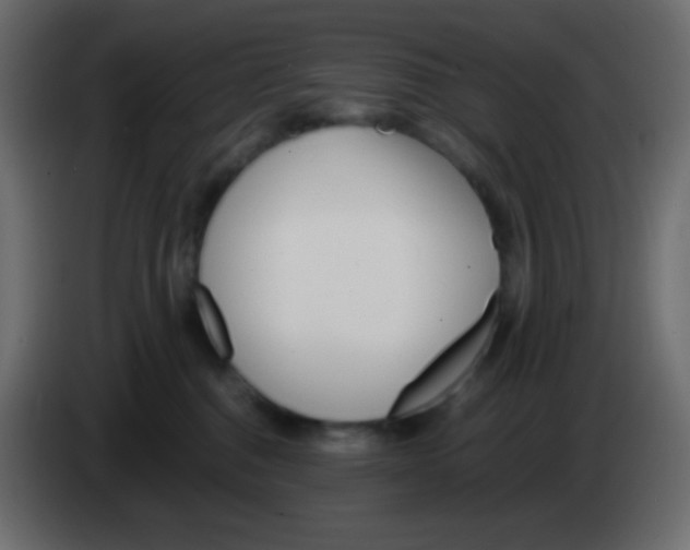 X0000083060376200703022139