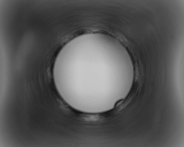 X0000083060377200703022139