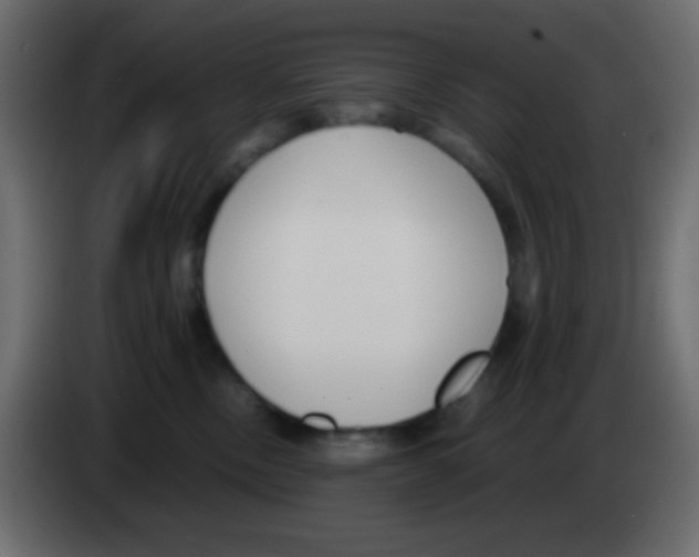 X0000083060378200703022139