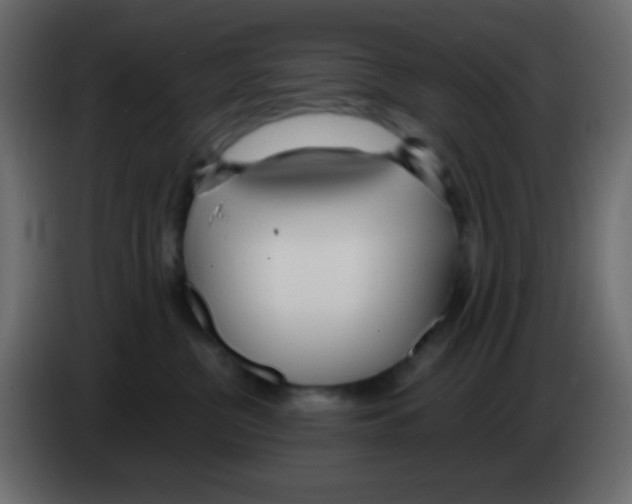 X0000083060380200703022139