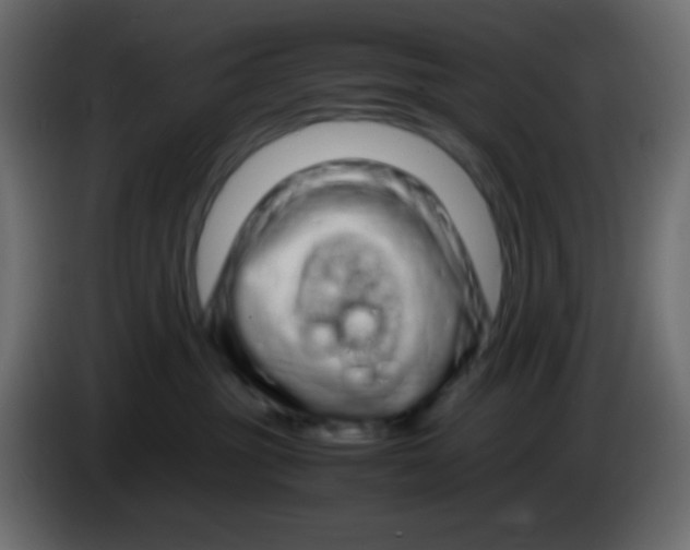 X0000083060381200703022139