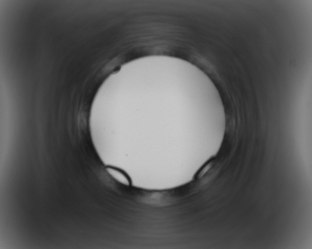 X0000083060382200703022139