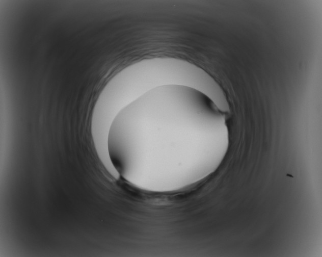 X0000083060384200703022139