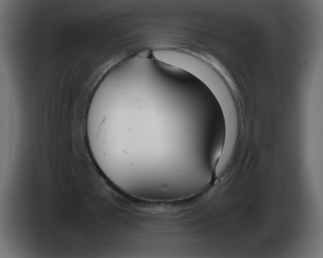 X0000083060385200703022139