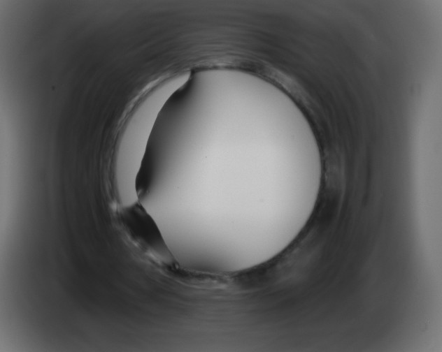 X0000083060386200703022139