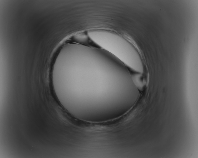 X0000083060387200703022139