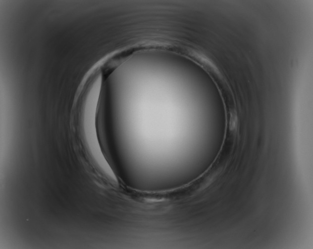 X0000083060388200703022139