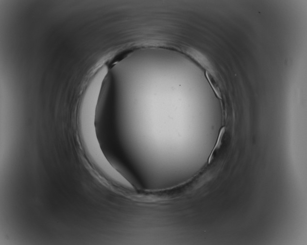 X0000083060389200703022138