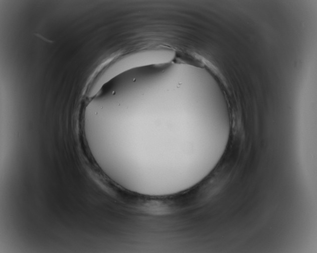 X0000083060390200703022138