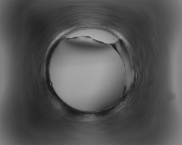 X0000083060391200703022138