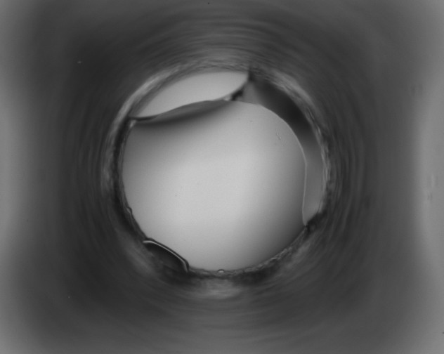 X0000083060392200703022138