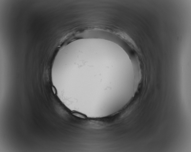 X0000083060393200703022138