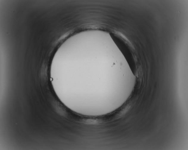 X0000083060394200703022138