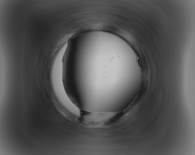 X0000083060397200703022138